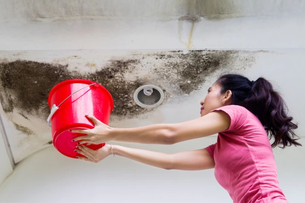 Daños por filtraciones de agua de lluvia