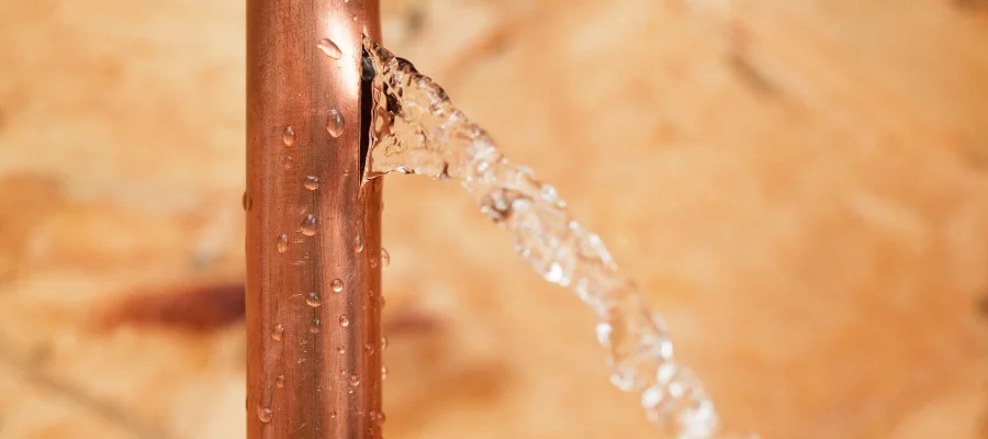 Entendiendo los daños por agua