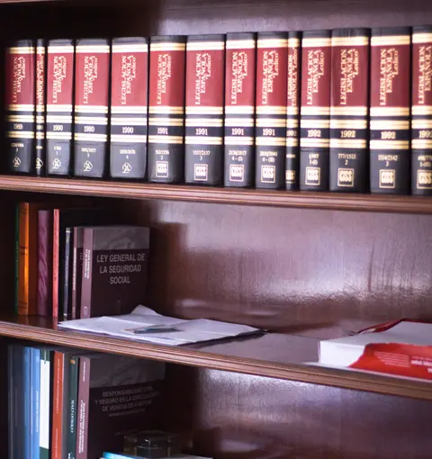 Experiencia, rigor y respaldo legal en cada informe Experiencia, rigor y respaldo legal en cada informe